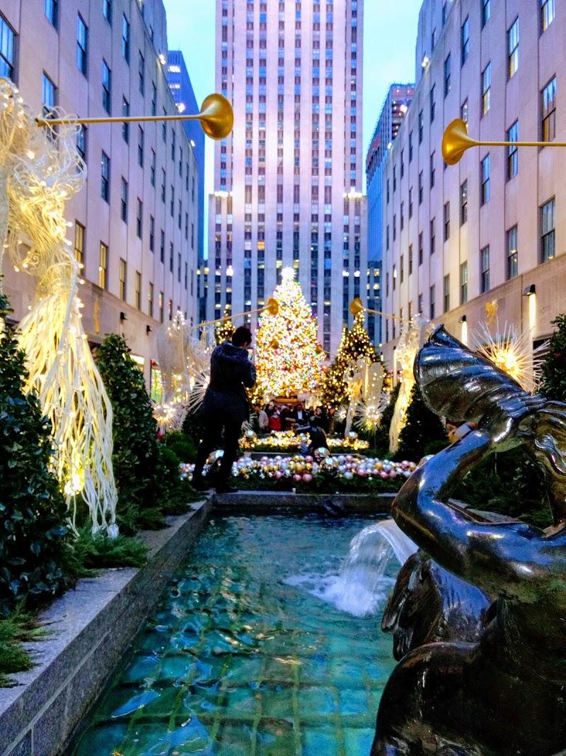 One Two Seven Three Rockefeller Street